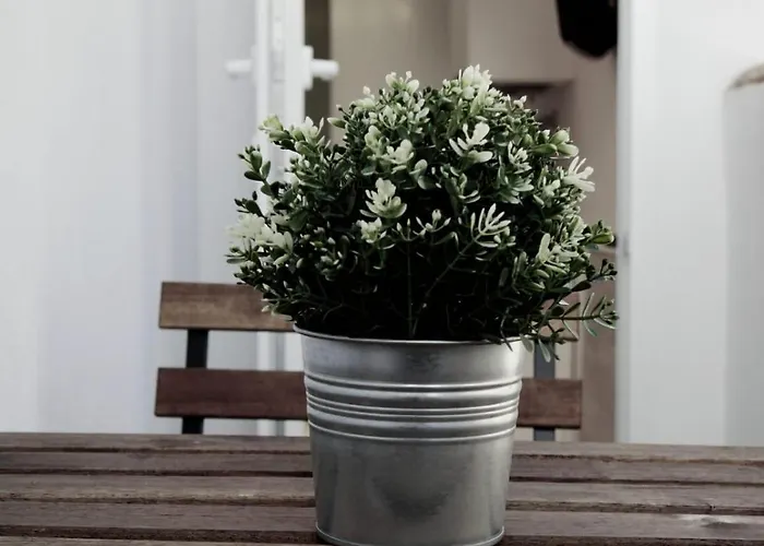 Lejlighed Con Terraza Privada